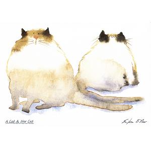 A Cat & Her Cat